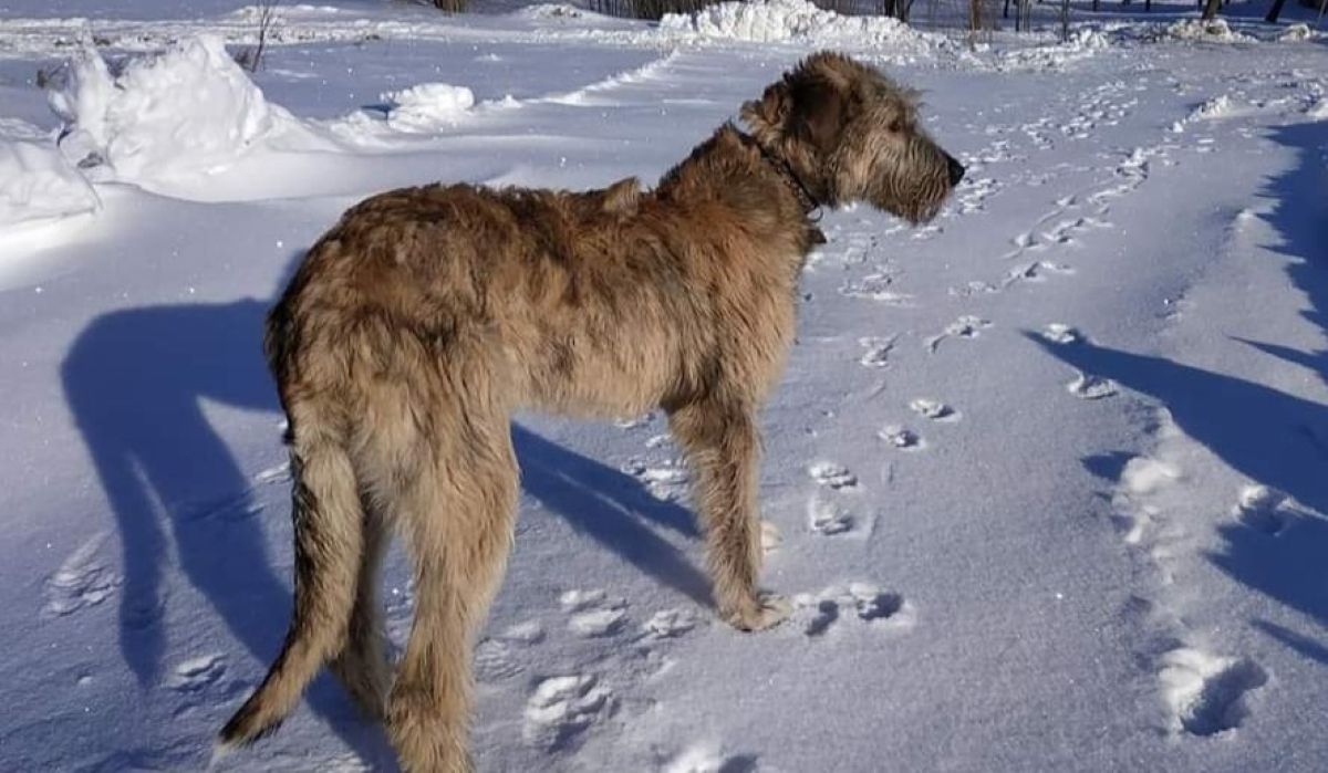 Screenshot_20231022_132511_Facebook